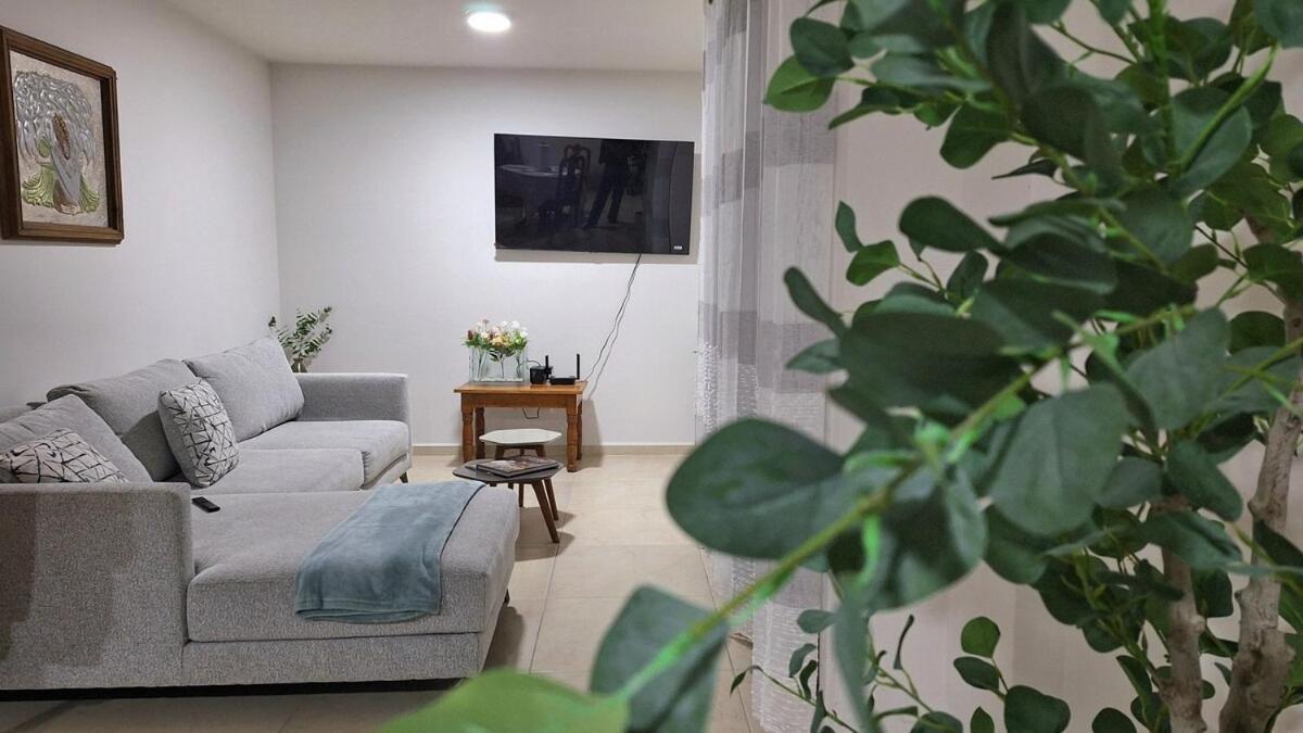 Departamento Tequis, Totalmente Nuevo En El Corazon De Slp Apartment San Luis Potosi Exterior photo